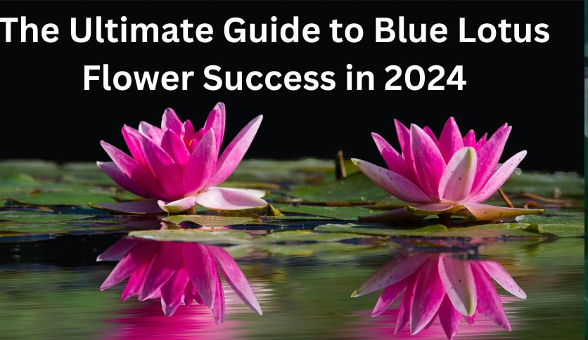  Blue Lotus Flower